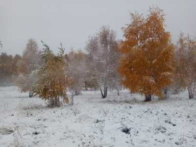 Снегопад идет почти на всей территории Хакасии