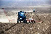 В Хакасии зерновые посеяны на 11 тысячах гектаров