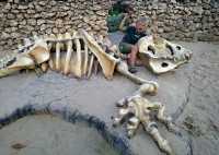 Миллионы лет тому назад в месте, которое сегодня называется «Горный комплекс Оглахты», разгуливали стегозавры. 