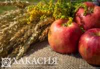 Хакасия готовится к празднику урожая