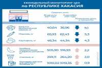 Мониторинг цен в Хакасии: овощи и бензин дешевеют, колбаса дорожает