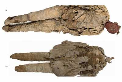 Останки молодого мужчины найдены внутри древней погребальной куклы в Хакасии