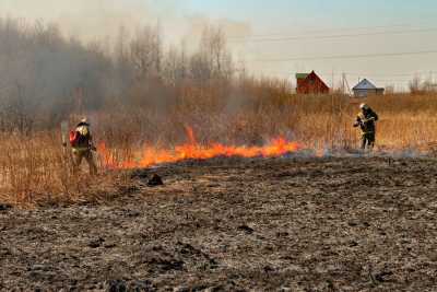 Жителей Хакасии призывают быть осторожными с огнем на природе и дачах