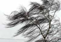 Сегодня в Хакасии ожидается усиление ветра