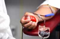 Центр крови Хакасии приглашает желающих принять участие в новогоднем донорском марафоне