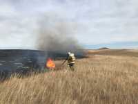 Рядом с заповедником в Хакасии выгорело 200 га степи