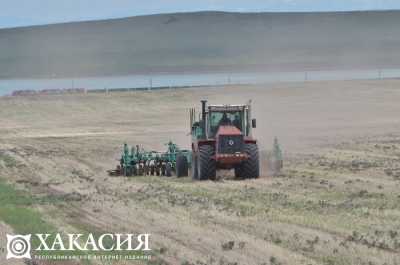 В семи районах Хакасии полностью убрали пшеницу