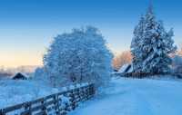 Хрустящий снег и деревья в серебре: Александр Колбасов поделился предновогодними пейзажами
