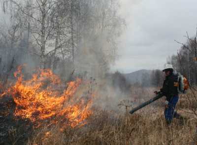 В праздники  лесники Хакасии трижды тушили пожары