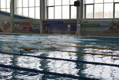 В Абакан приехало рекордное количество пловцов