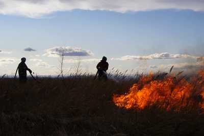 В Хакасии тушили километр горящей травы