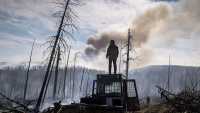 В России за сутки ликвидировали более 30 лесных пожаров