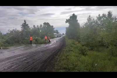 Завалило упавшими деревьями дорогу в Усть-Абаканском районе