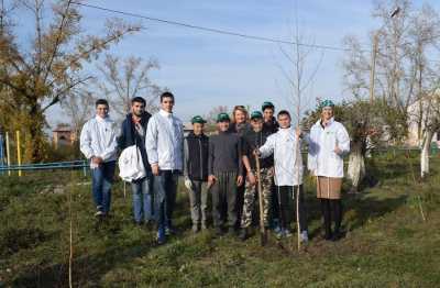 «Зеленая дружина» СГК и студенты Абакана помогают Черногорску стать зеленее