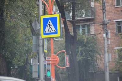 Пешеходы Абакана массово нарушают правила дорожного движения