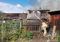 Тополиный пух, огонь, МЧС: в Хакасии вновь пожары