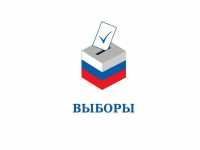 В регионах России начались выборы президента