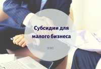 Правительство РФ установило порядок субсидирования бизнеса