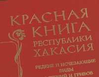 Больше о Красной книге Хакасии узнают читатели главной библиотеки республики