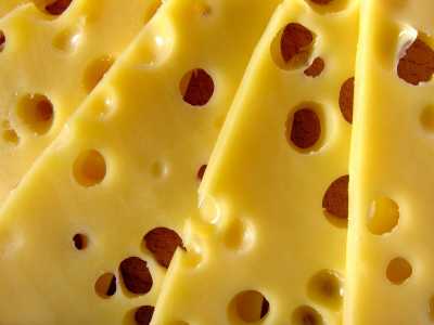 В 2022 году в Хакасии начнут выпускать сыр, удобрения и перерабатывать рапс