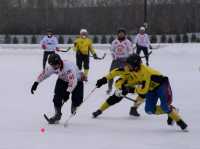 Чемпионат по хоккею с мячом проходит в Хакасии