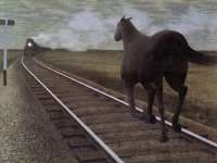 В Хакасии поезд сбил лошадь, пастух не доглядел