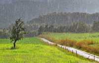 В Хакасии продолжат идти небольшие дожди
