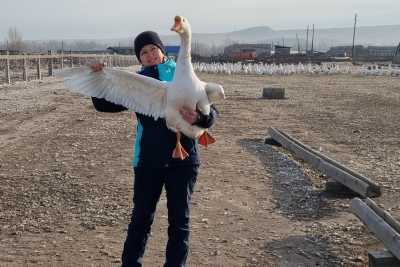 Что приготовит на Новый год лучшая птичница Хакасии?