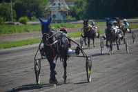 В Хакасии пройдут финальные соревнования Кубка сельских конников