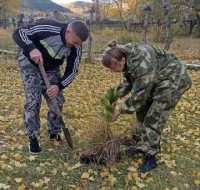 &quot;Сохраним лес&quot;: в Хакасии высадили сосны и кедры