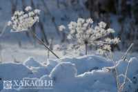 В Хакасии морозы потихоньку отступают