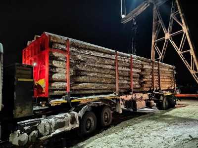 В Хакасии пресечен канал контрабанды древесины