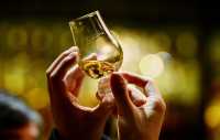СМИ: треть элитных сортов шотландского виски оказалась поддельной