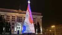 Мэр Кемерово объяснил покупку новогодней ели за 18 млн рублей