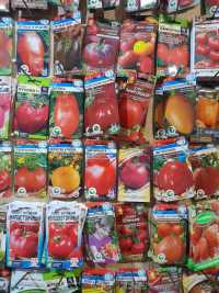 Все придумали: в Хакасии продавали семена вымышленных сортов растений