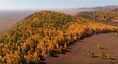Золотая осень настала в Хакасии