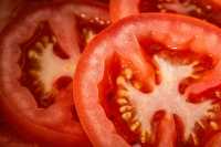 Жители Хакасии могут показать минусинцам свои помидоры