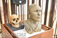 Уникальные реконструкции облика древних людей показали в главном музее Хакасии
