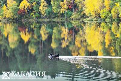 В Хакасии хотят защитить озера