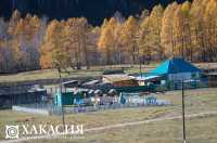Хакасию особо отметили за развитие сельских территорий