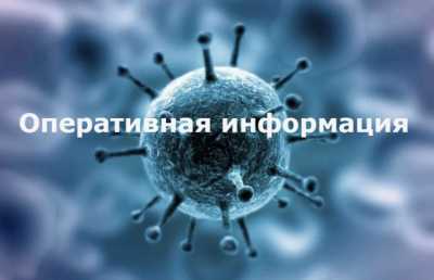 В Хакасии рассказали о ситуации с коронавирусом за сутки