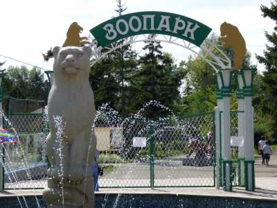 Глава Хакасии позвал в обновленный абаканский зоопарк