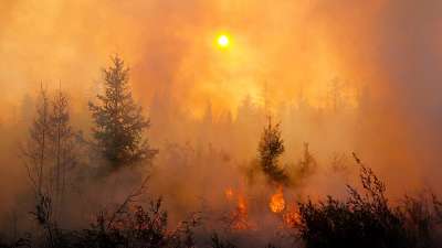 В Бурятии погибли два сотрудника лесной охраны при тушении пожара