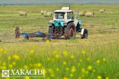 На развитие сельскохозяйственной кооперации в Хакасии можно получить грант