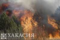 Огонь добрался до здания лесничества в Хакасии