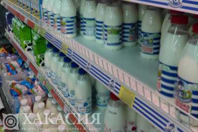 В Хакасии увеличилась продажа молока