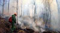 В Хакасии загорелся памятник природы
