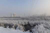 Компания «Россети Сибирь» за год приняла на баланс почти 200 км бесхозяйных электролиний