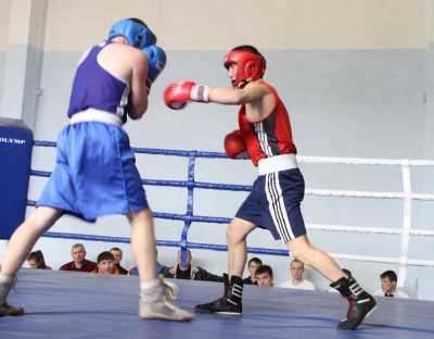 Региональный турнир по боксу пройдет в Хакасии