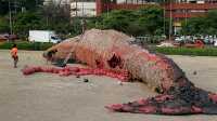 На Филиппинах создали 24-метровую фигуру кита из пластикового мусора